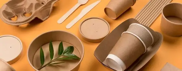 Unwrapping Food Packaging: Types, Trends, and Best Practices