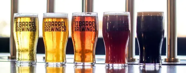 Beer Dispensers Reviews for 2024