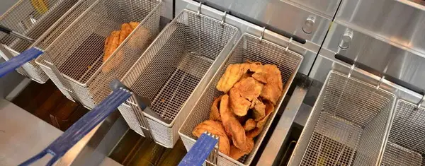 Electric Fryers Review: Finding the Right Fryer for Your Kitchen