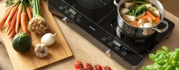 5 Best Induction Cookers