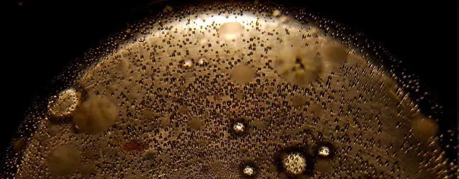 Choosing the Right Commercial Fryer - 5 Things to Consider