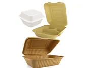 Eco-Friendly Bagasse Hinged Containers 