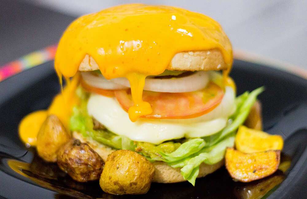 commercial electric cheese melter