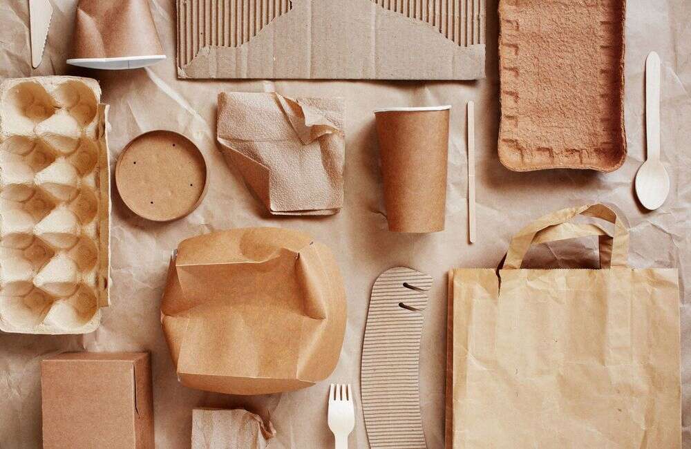 biodegradable materials for packaging