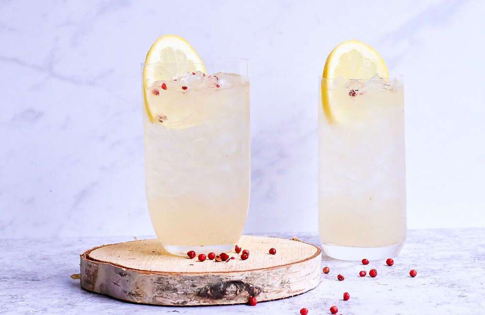 granita frozen drink machine