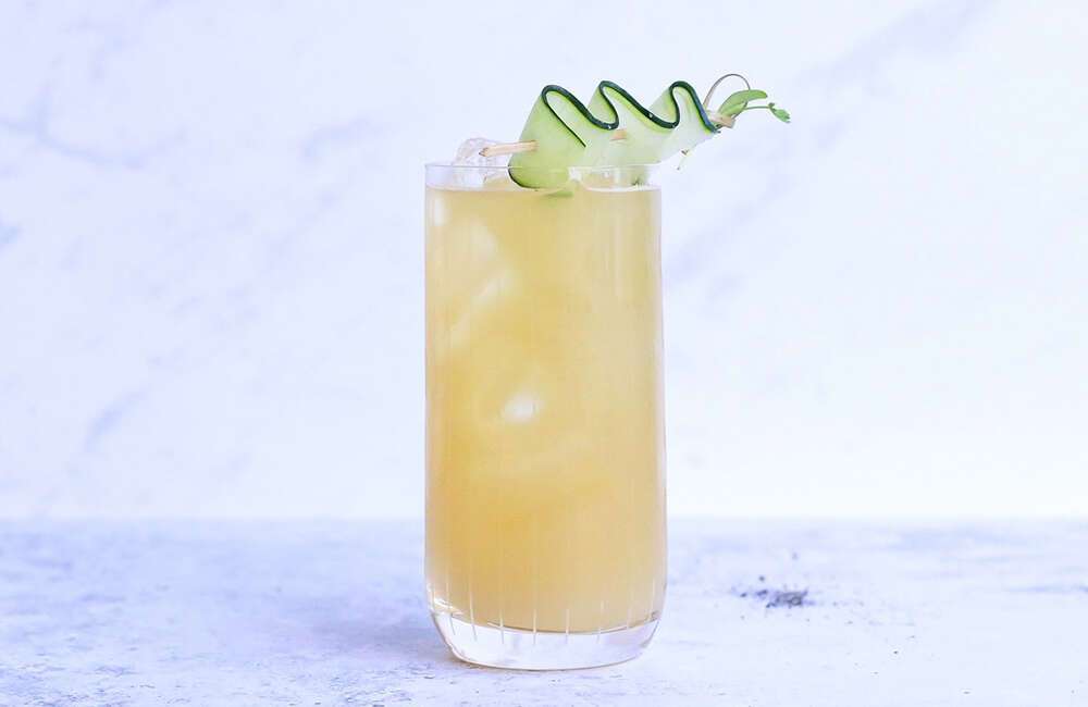 best granita machine