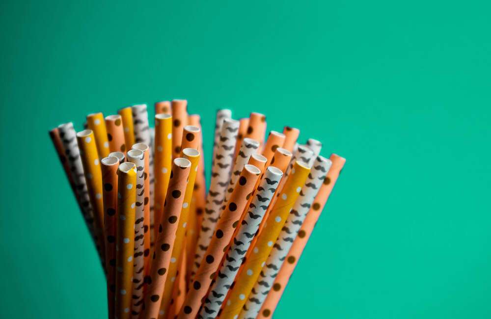 disposable catering supplies wholesale