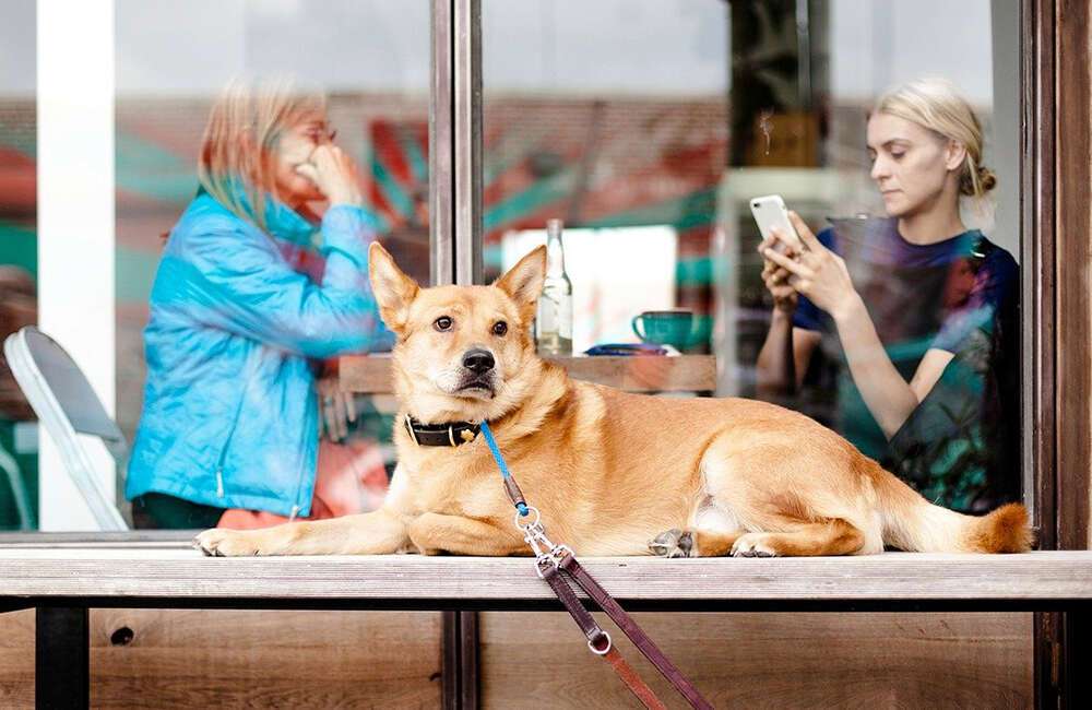 how to start a food instagram