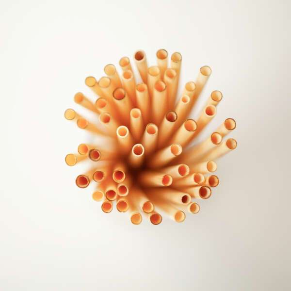 Reeds RE1121-M08, 8.5-Inch Individually Wrapped Beige Reed Jumbo Straws, 200/CS