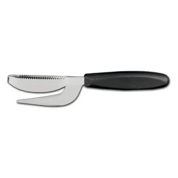 Ambrogio Sanelli 5499.000, Stainless Steel Fish Scraper with Nylon Handle