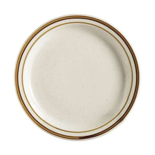 C.A.C. AZ-9, 9.75-Inch Arizona Narrow Rim Dinner Plate, 2 DZ/CS