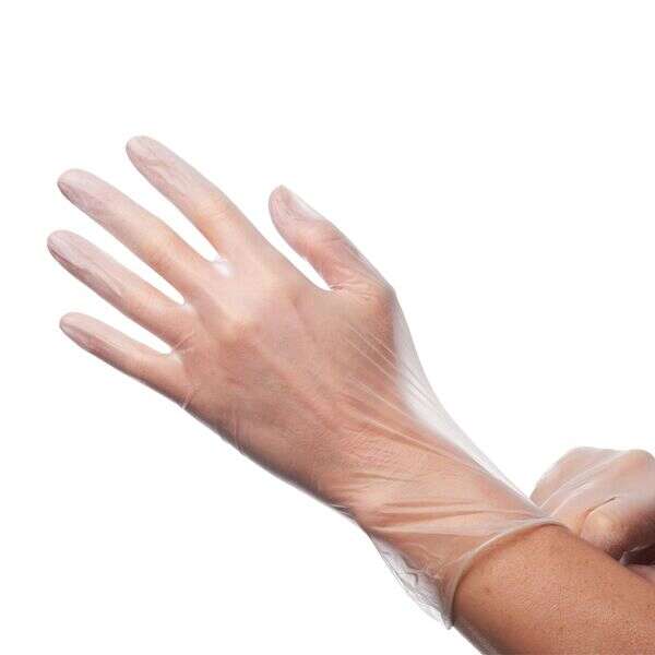 - GLVL-L, Clear Disposable Vinyl Gloves, Large, 100/PK