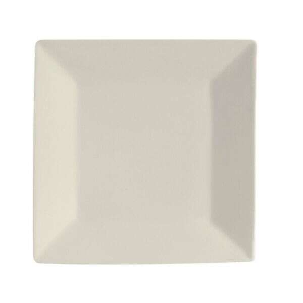 C.A.C. RE-SQ20, 11-Inch Stoneware Square Plate, DZ