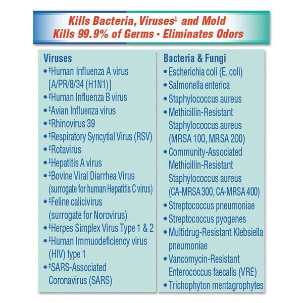 Clorox CLOR19, 19 Oz Disinfectant Spray, 12/CS