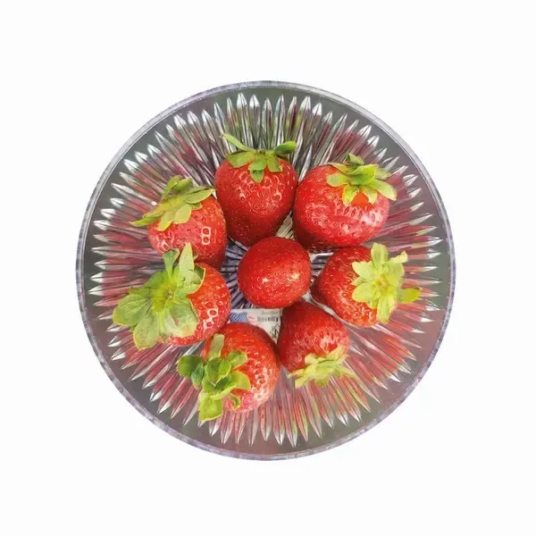 CLOSEOUT - 16 Oz 6x2-Inch Round Clear Plastic Starburst Bowl, 48/CS