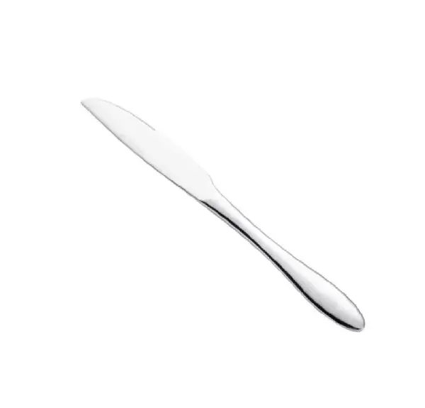 - 3118-08, 9.13-Inch Shannon 18/0 Stainless Steel Dinner Knife, DZ