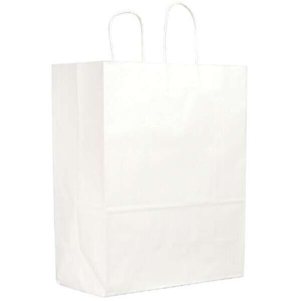 Novolex DURO 12x6x15.75-Inch #65 White Paper Shopping Bag with Twisted Handles, 250/CS