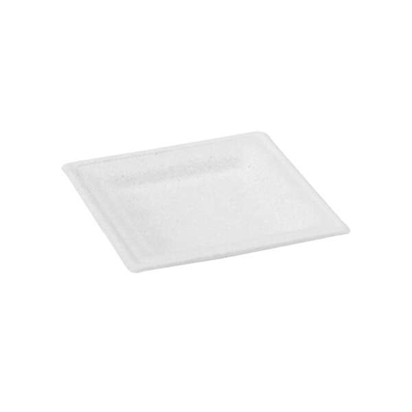 PacknWood 210APU1616A, 6.25x6.25x0.6-Inch Square White Sugarcane Plate, 500/CS