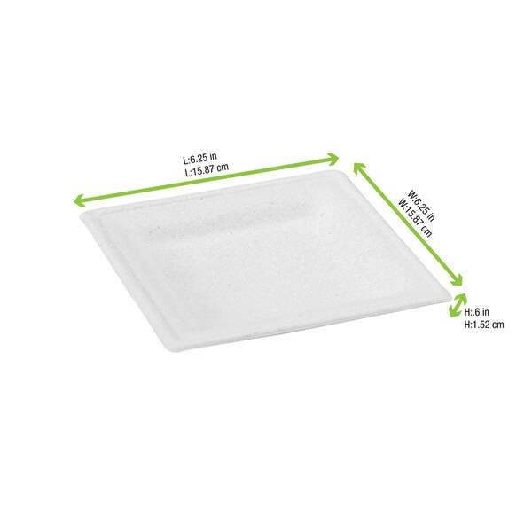 PacknWood 210APU1616A, 6.25x6.25x0.6-Inch Square White Sugarcane Plate, 500/CS