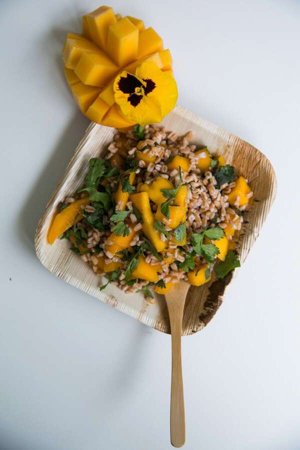 PacknWood 210BBA1717, 6.3x6.3-inch Square Palm Leaf Plate with Rounded Corners, Beige, 100/CS