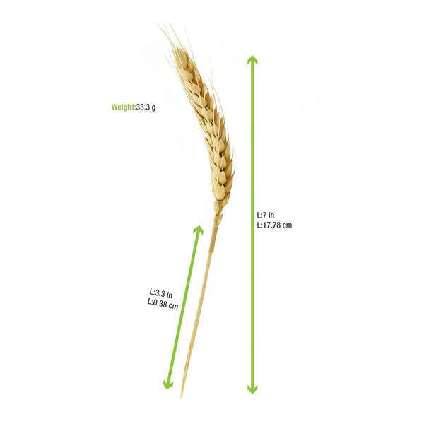PacknWood 210BBWH15, 7-Inch Bamboo Wheat Skewers, 500/CS