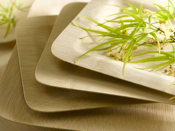 PacknWood 210BVNER10SQ, 10x10x0.55-Inch Bamboo Veneer Square Plate, 50/CS