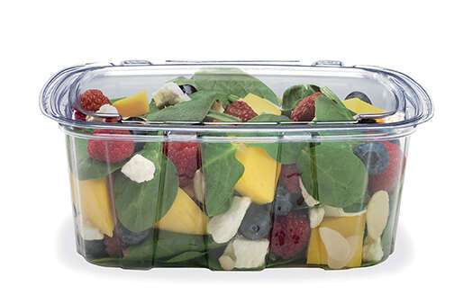 Placon TCS24, 24-Ounce Crystal Seal Tamper-Resistant Clear Combo, Container with Flat Lid, 164/CS