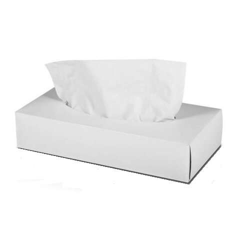 SafePro FT, White Facial Tissue, 30x100/CS
