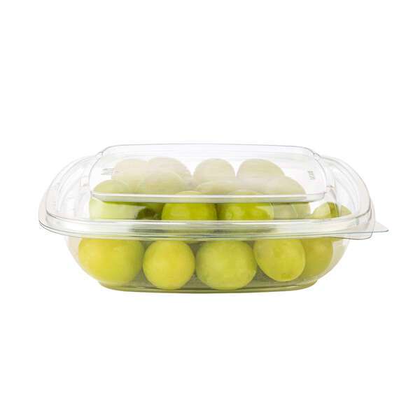 SafePro SC4-24C, 24 Oz Shallow Clear PET Square Containers, 140/CS. Lids Sold Separately.
