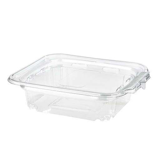 SafePro TE12 12 Oz Tamper Evident Clear Plastic Container with Hinged Lid, 240/CS