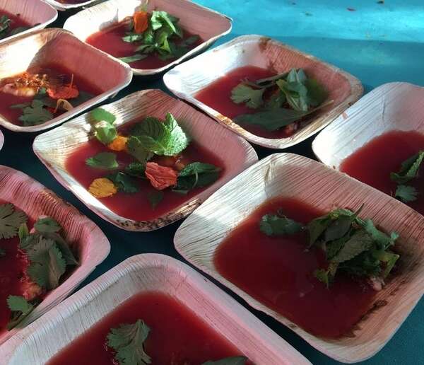 VerTerra 01-00-13B 6-inch Eco-Friendly Square Palm Leaf Bowl, 300/CS