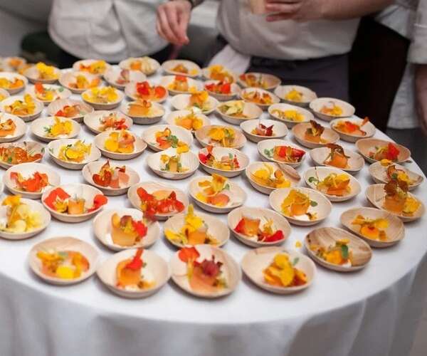 VerTerra 01-01-10B 3.5-inch Eco-Friendly Round Palm Leaf Bowl, 600/CS