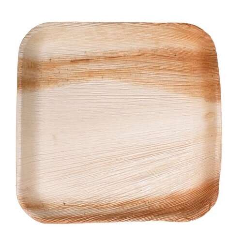 VerTerra 01-20-20B-X 8-inch Eco-Friendly Square Palm Leaf Plate, 25/PK
