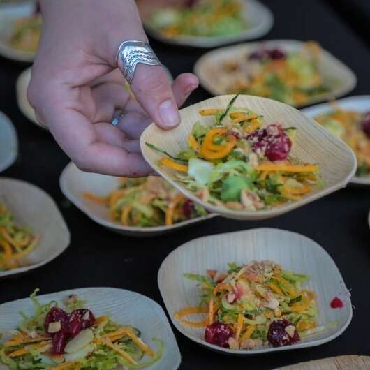 VerTerra 01-22-10B 4-inch Eco-Friendly Square Palm Leaf Plate, 600/CS