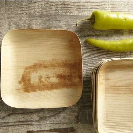 VerTerra 01-22-15B-X 6-inch Eco-Friendly Square Palm Leaf Plate, 25/PK