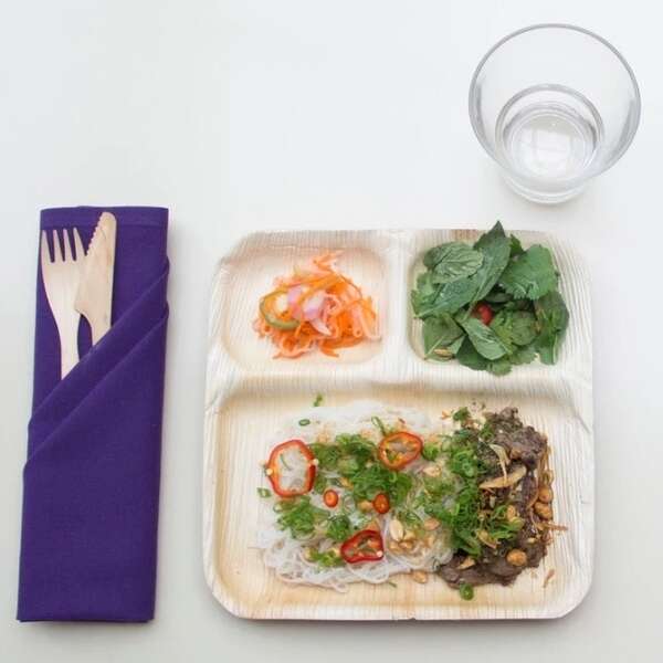 VerTerra 02-25-03C 9-inch Eco-Friendly Square 3-Compartment Palm Leaf Plate, 250/CS