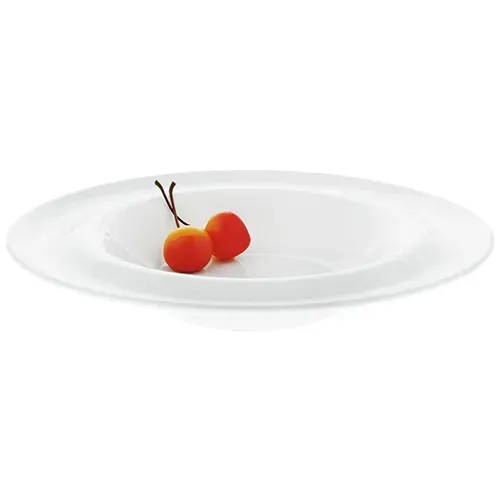 Wilmax WL-991023/A 10-Inch Undina Round White Porcelain Deep Plate, 24/CS