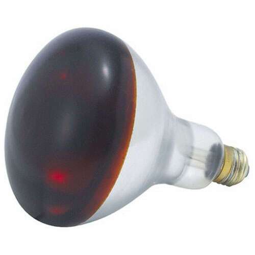 - EHL-BR, 250-Watt Red Bulb for Heat Lamp EHL-2