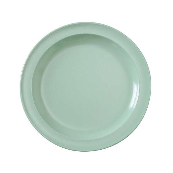 Yanco NS-105G 5.5-Inch Nessico Melamine Round Green Plate, 48/CS