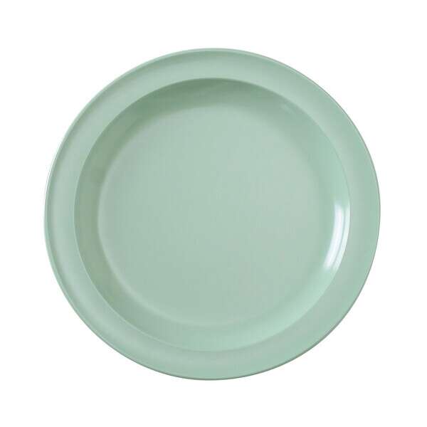 Yanco NS-108G 8-Inch Nessico Melamine Round Green Plate, 48/CS