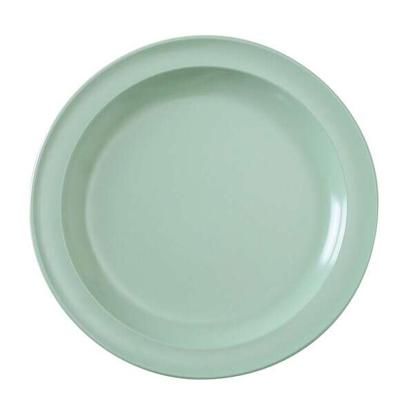 Yanco NS-109G 9-Inch Nessico Melamine Round Green Plate, 24/CS