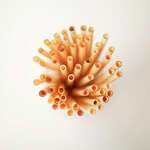 Reeds RE1121-M08, 8.5-Inch Individually Wrapped Beige Reed Jumbo Straws, 200/CS