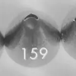 Ateco 159, Left-Handed Petal Decorating Tip