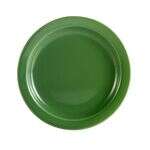 C.A.C. L-16NR-G, 10.5-Inch Las Vegas Narrow Rim Green Plate, DZ