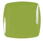Fineline Settings 1510-GRN, 10-Inch Renaissance Green Plastic Dinner Plates, 120/CS (Discontinued)