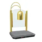 Hatco DCSB400-2420-1, Single Lamp Decorative Carving Station