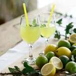 LAV FAM556, 13.25 Oz Fame Wine Glass, 24/CS