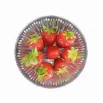 CLOSEOUT - 16 Oz 6x2-Inch Round Clear Plastic Starburst Bowl, 48/CS