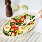 BBO28PF, 28 Oz Bagasse Oval Burrito Bowl PFAS-Free, 300/CS