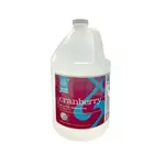 Santec Cranberry 1-Gallon Gel Hand Sanitizer, 62% Ethanol Alcohol, EA, 428904/CR-X